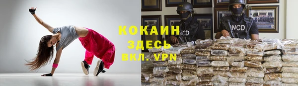 гидра Алексеевка