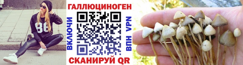 нарко площадка формула  Пыталово  Псилоцибиновые грибы мухоморы 